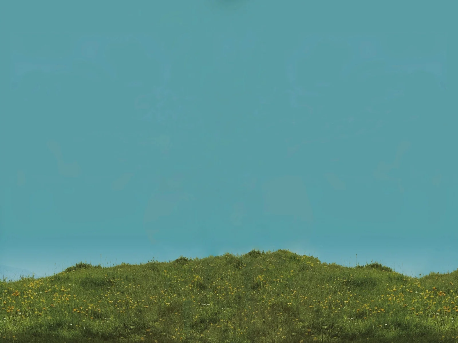 EaC-background-short-wide-1.jpg