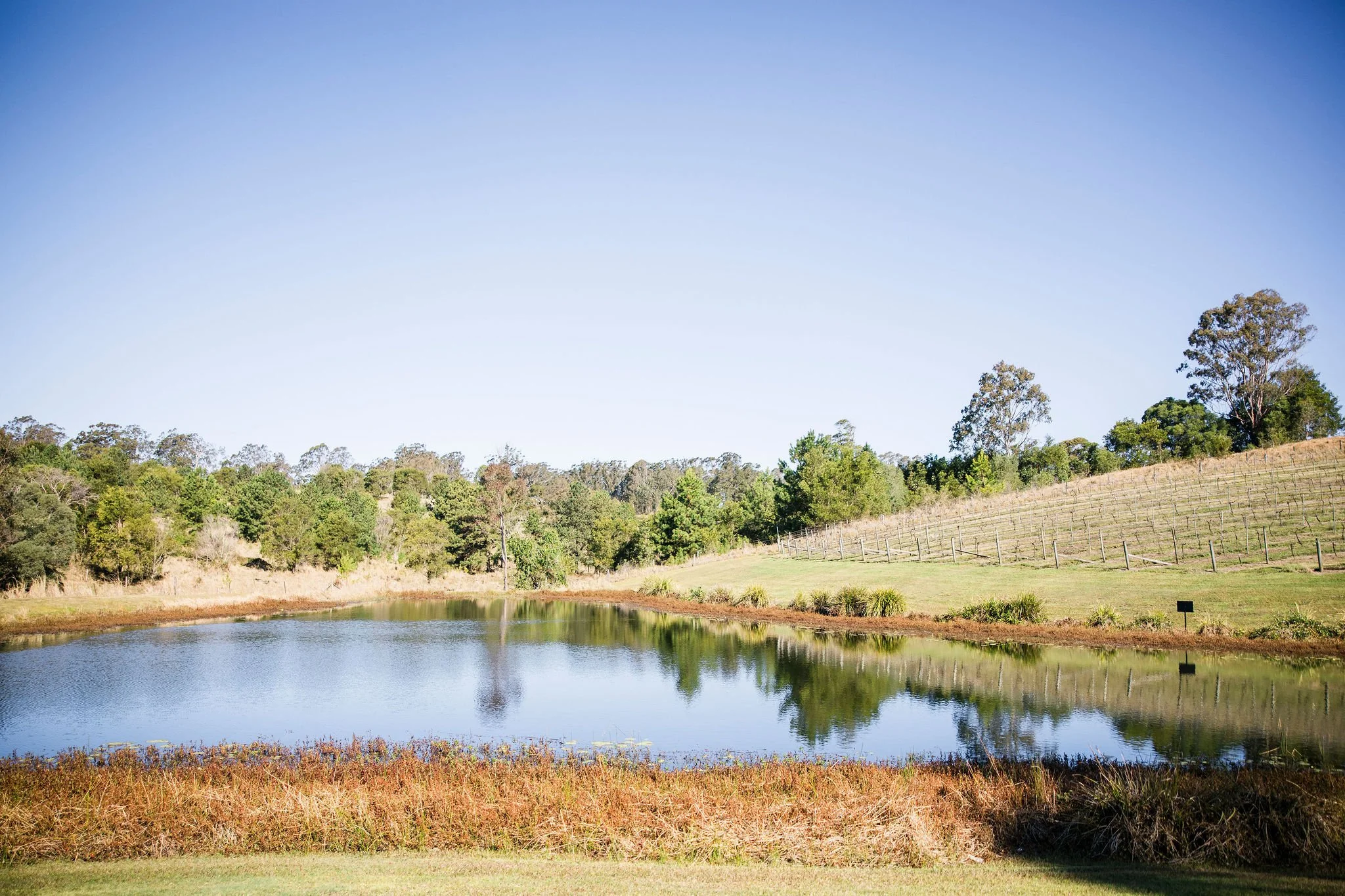 Oceanview Estate Wedding Photo (19).jpg