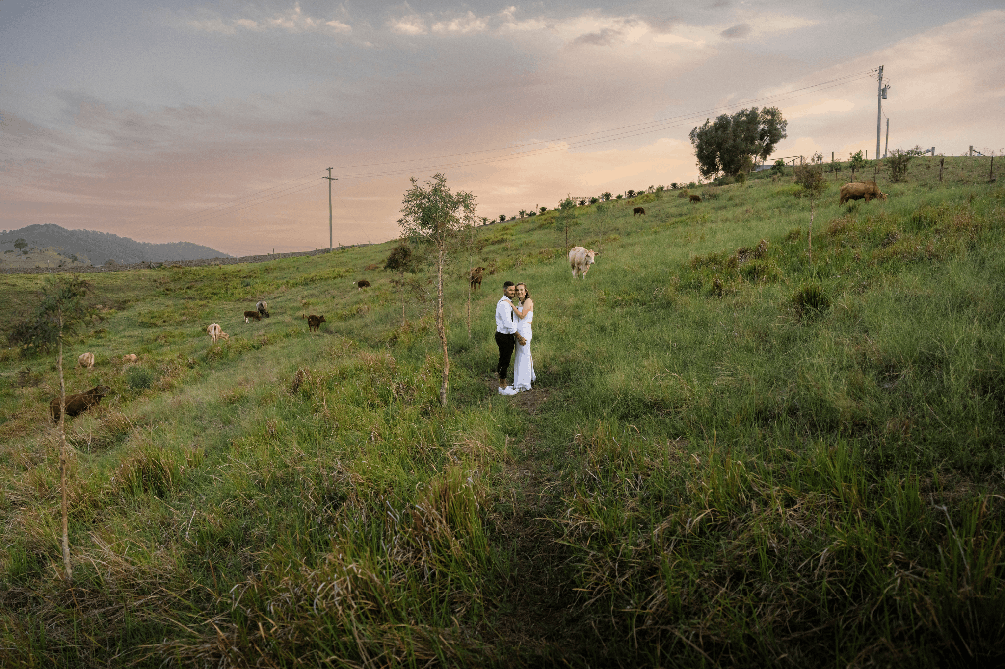 Riley's View Wedding for Brisbane Photography and Videography