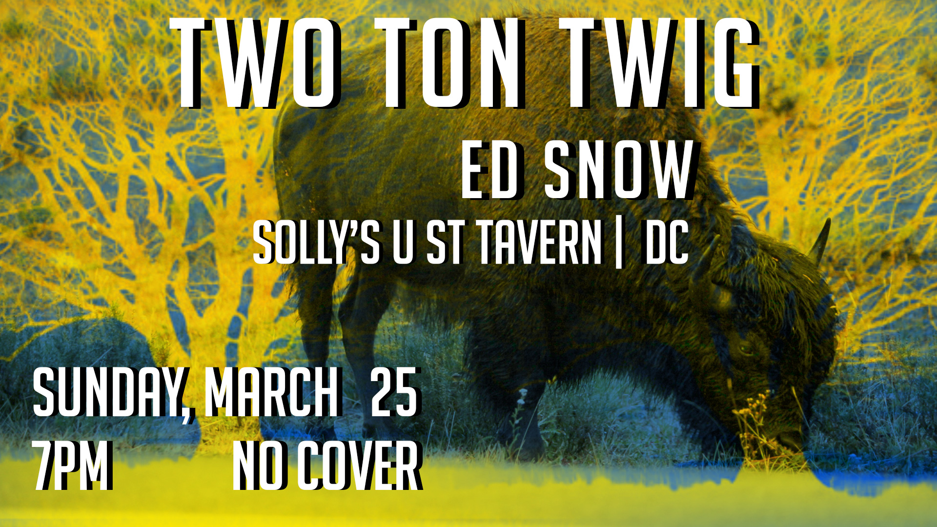 twig-fb-event-sollys-3-25.jpg