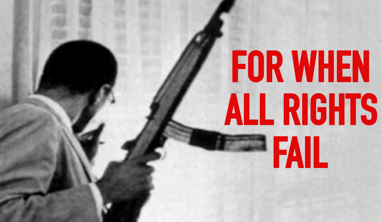 for when all rights fail - malcolm x.png