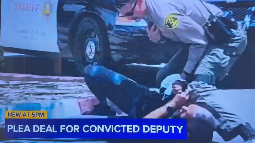 LA COPS PLEA DEAL.png