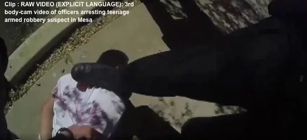 mesa cops 66.jpg