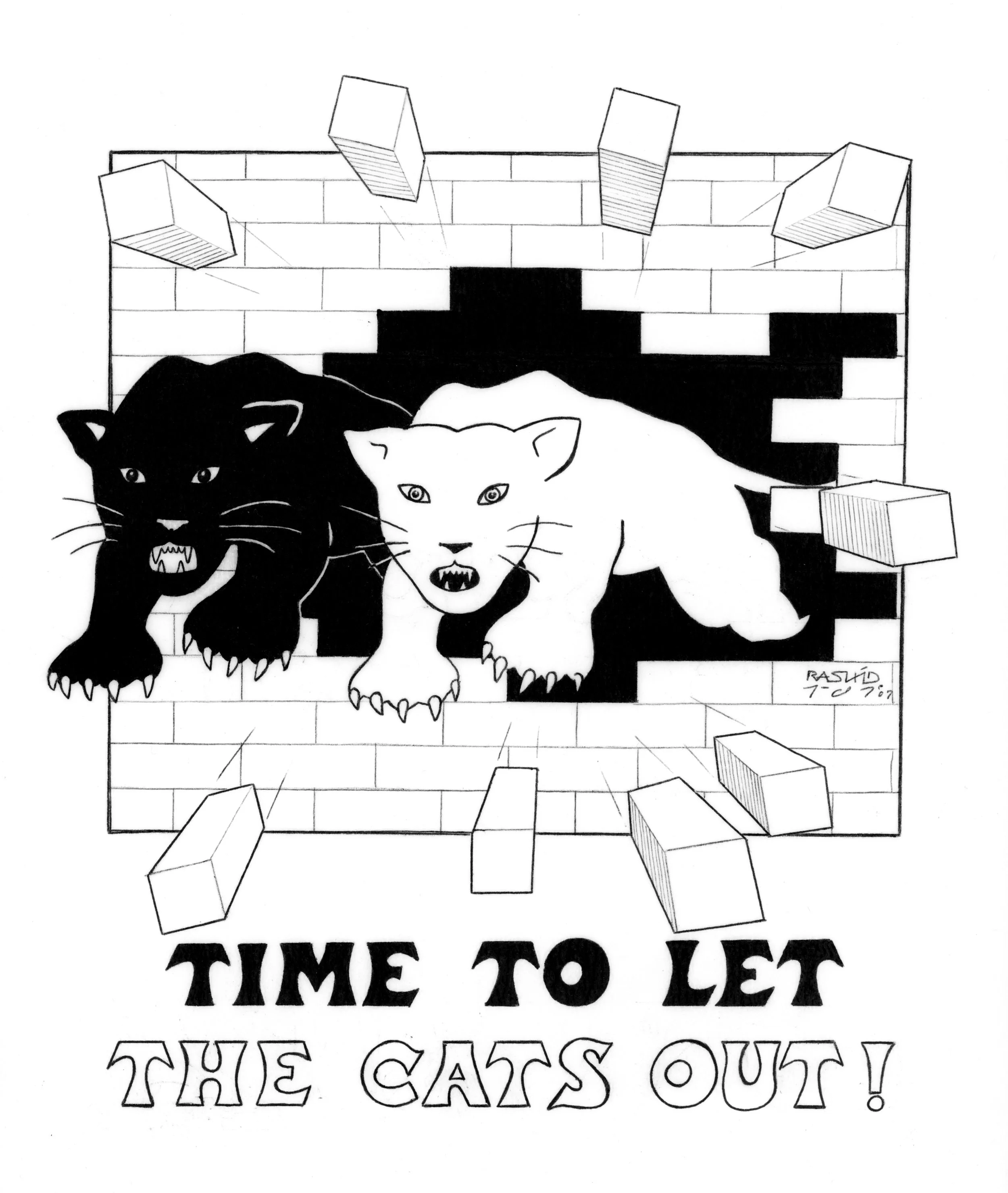 time-to-let-the-cats-out.jpg