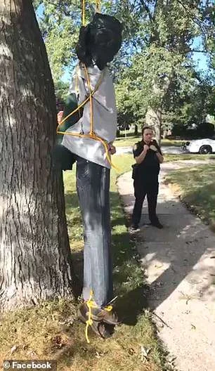 hanging 3.jpg