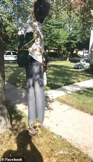 hanging 2.jpg