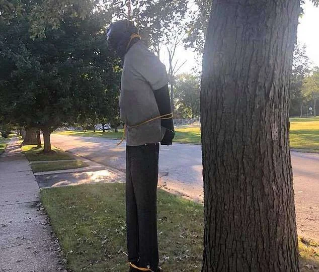 hanging 1.jpg