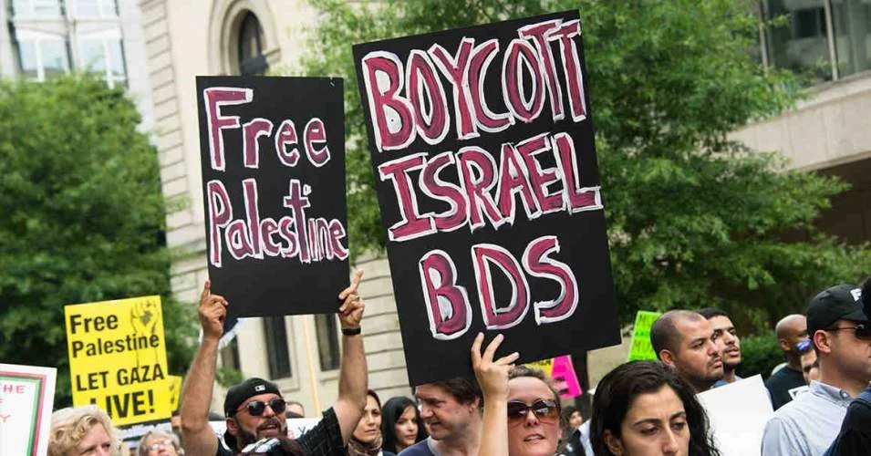 boycott signs.jpg
