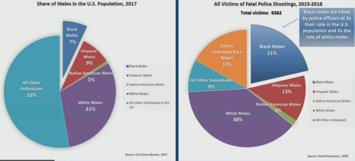 black males killed by cops.jpg