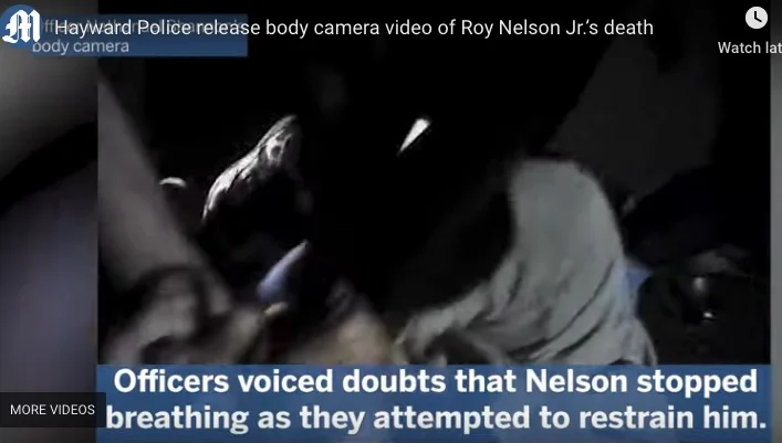 roy nelson 2.jpg