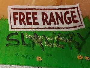 free range+slavery+usa.jpg