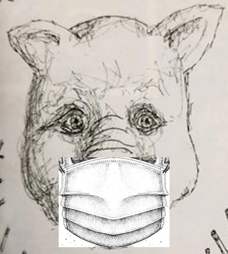 doggy wit mask.jpg