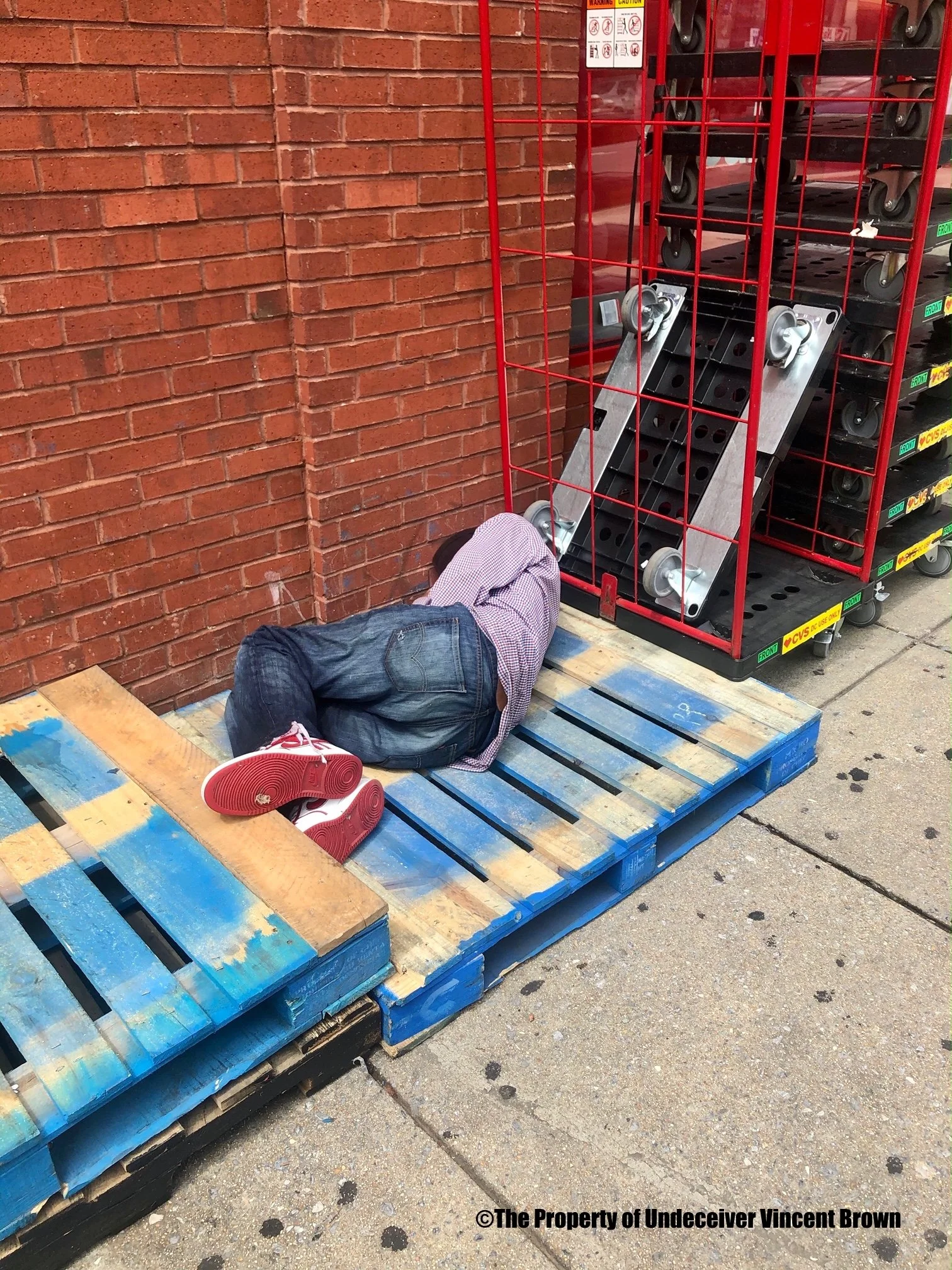 sleeping on crate.jpg