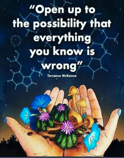 mckenna small free mind.png