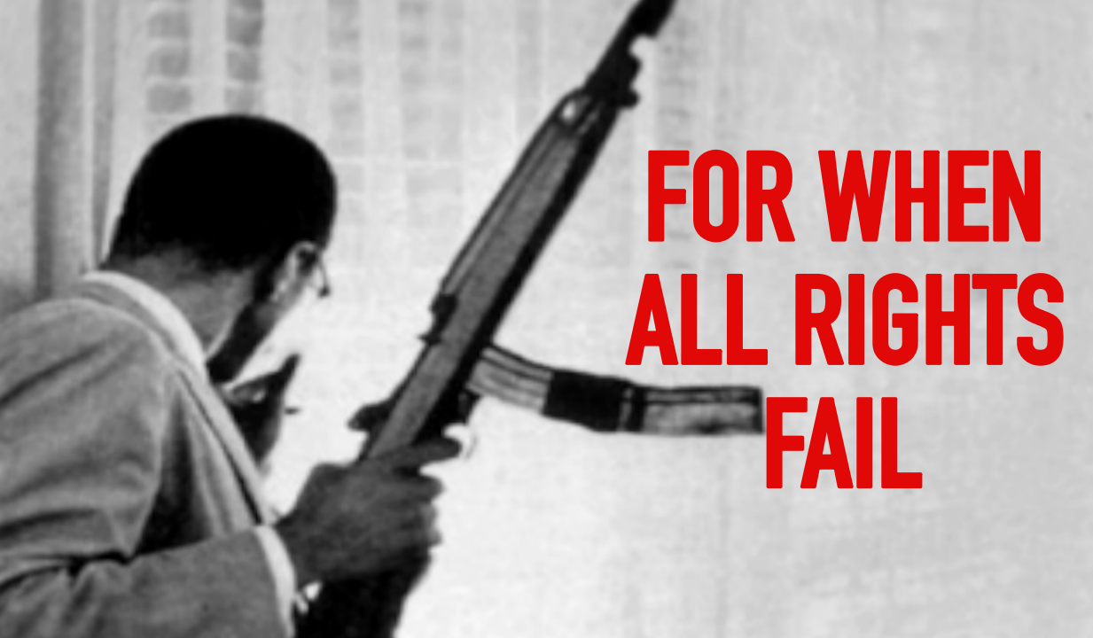 for when all rights fail - malcolm x.png