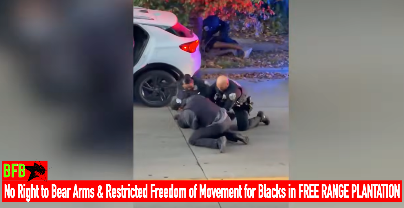 milwaukee cops free range prison 2.1 .png