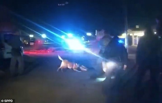 st paul cops racist.png