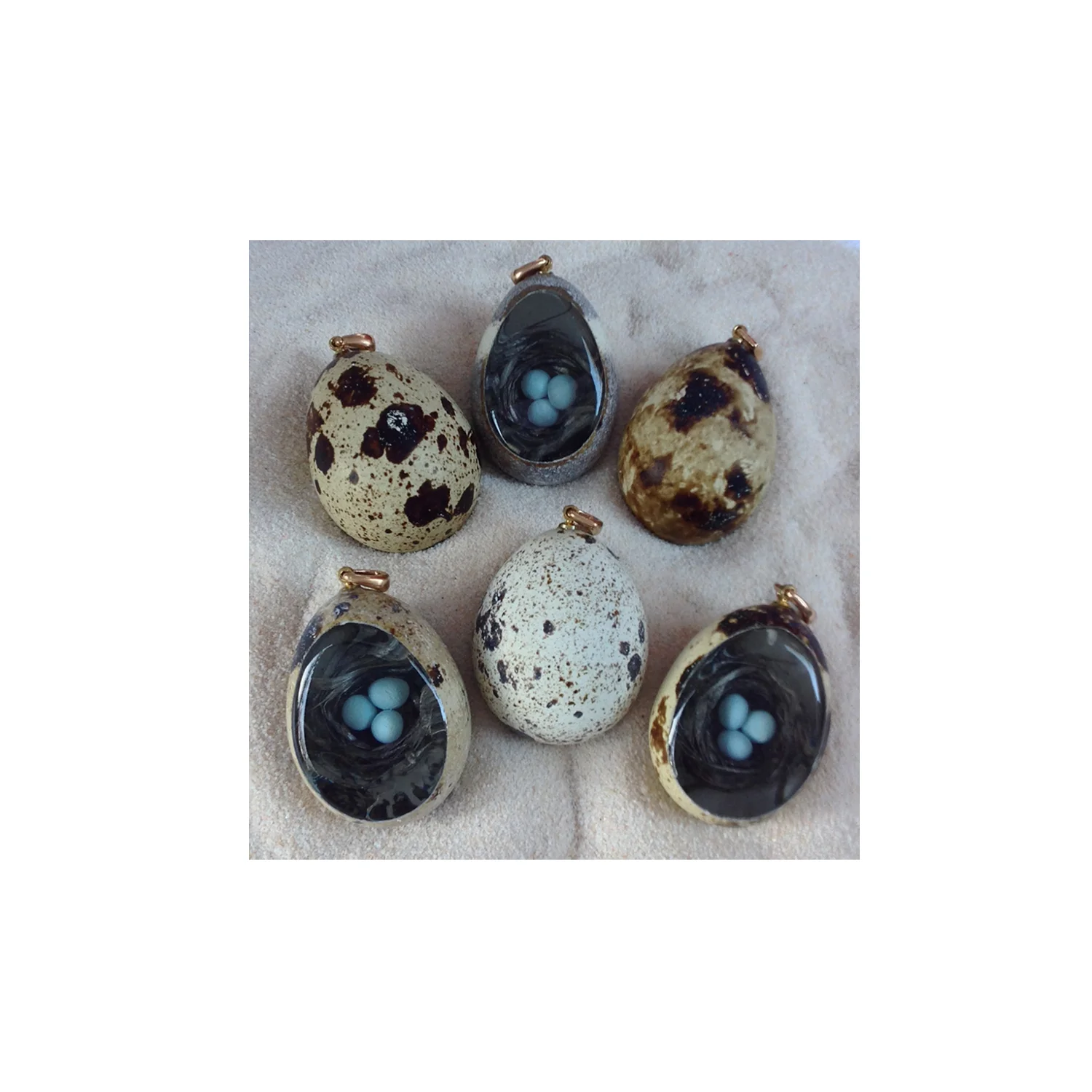quail group.jpg