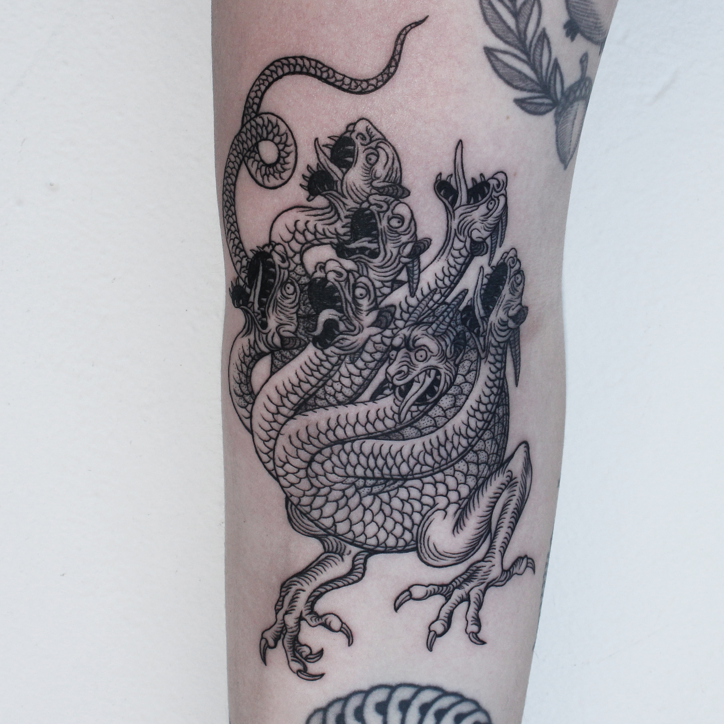 tattoo_hydra.jpg