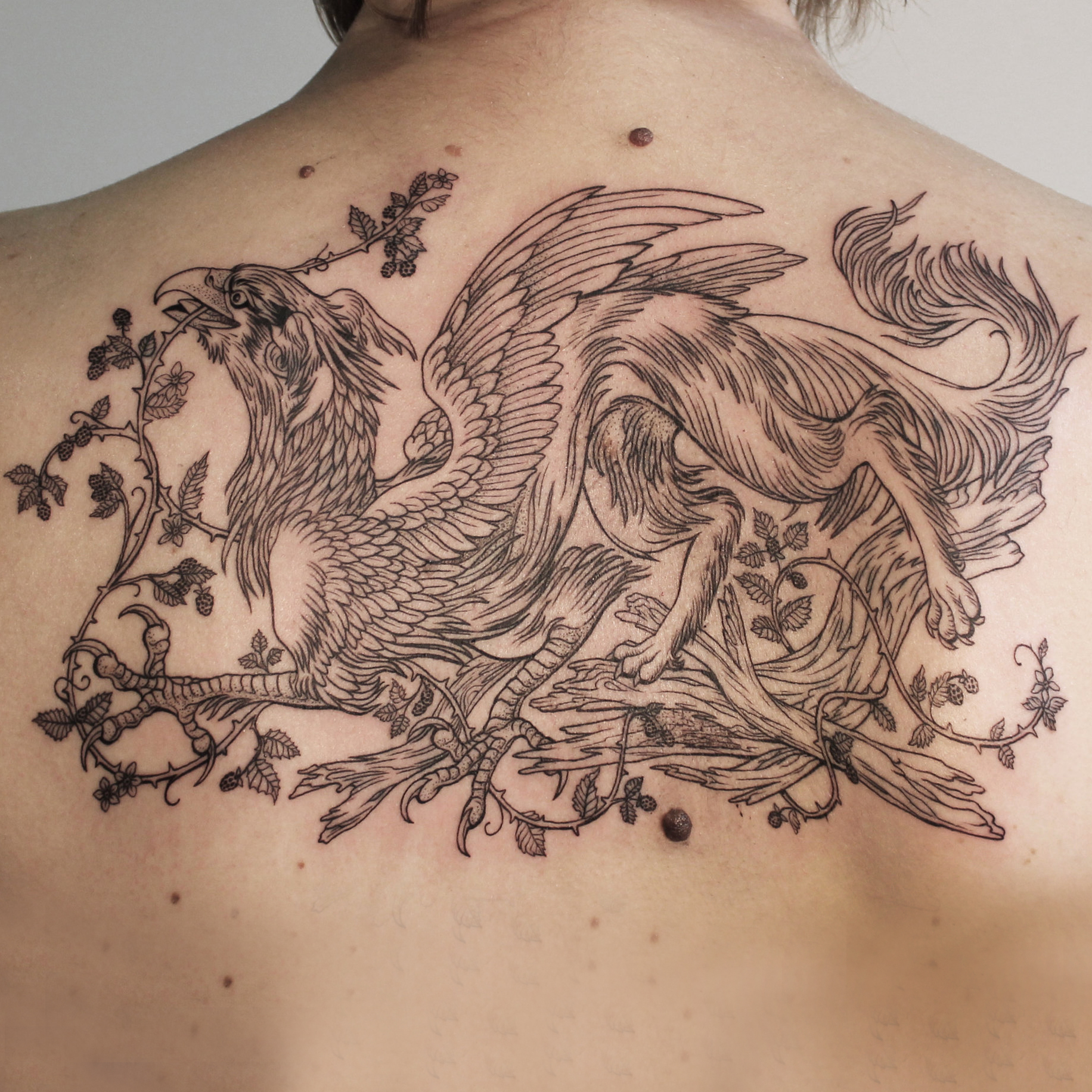 tattoo_gryphoncrop.jpg