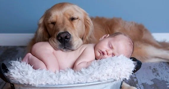 humanbabies2.jpg