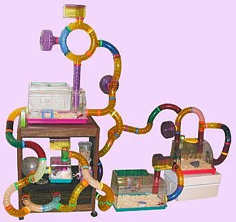 plastic_tube_cage.jpg