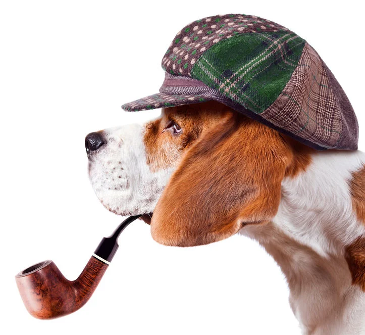 beagle detective.jpg