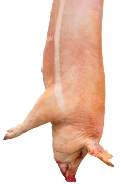 slaughtered pig.jpg