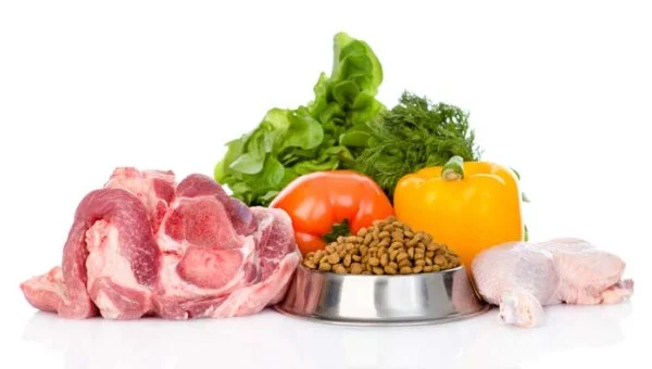 fresh food and kibble.jpg
