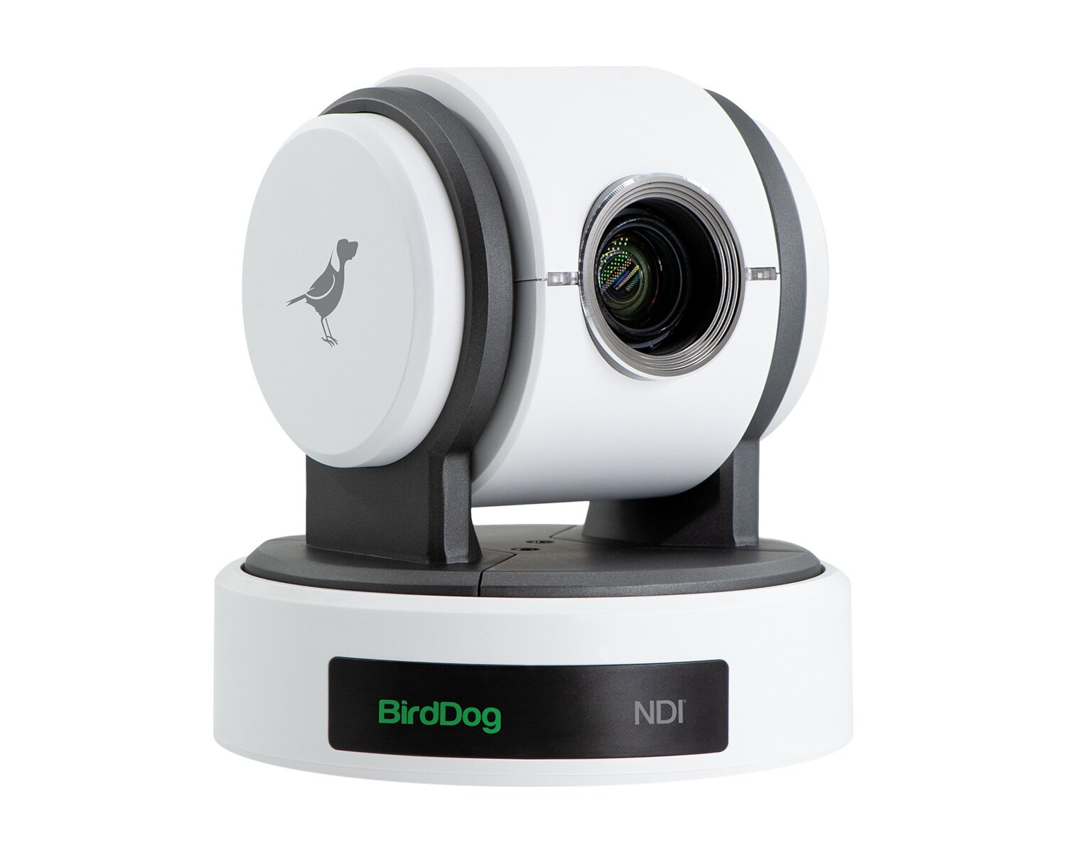 Birddog NDI PTZ Camera