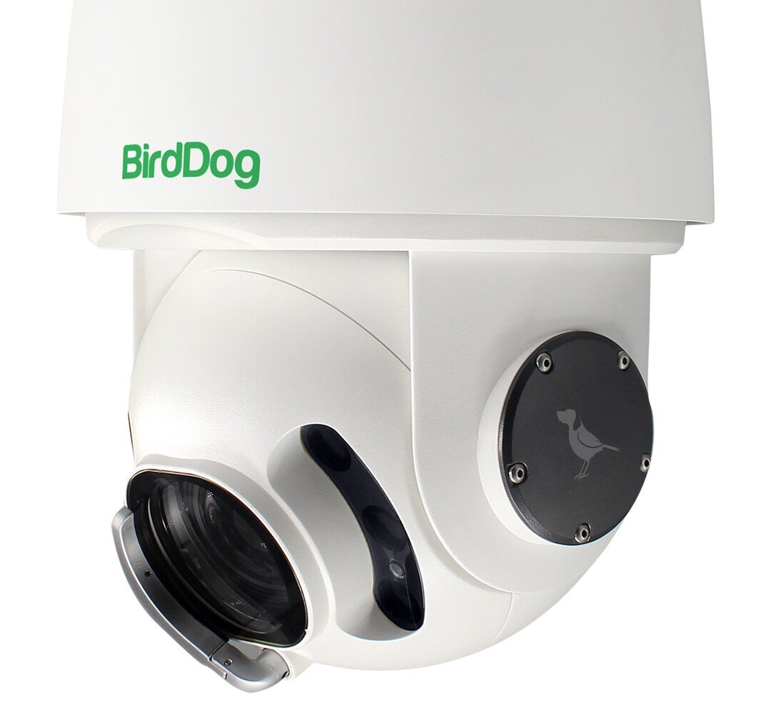 Birddog NDI weatherproof camera