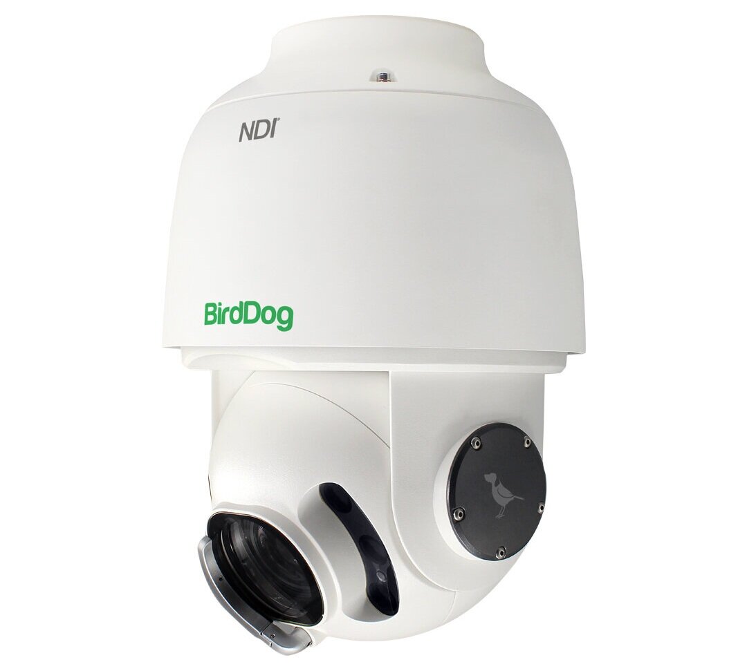 Birddog NDI weatherproof camera