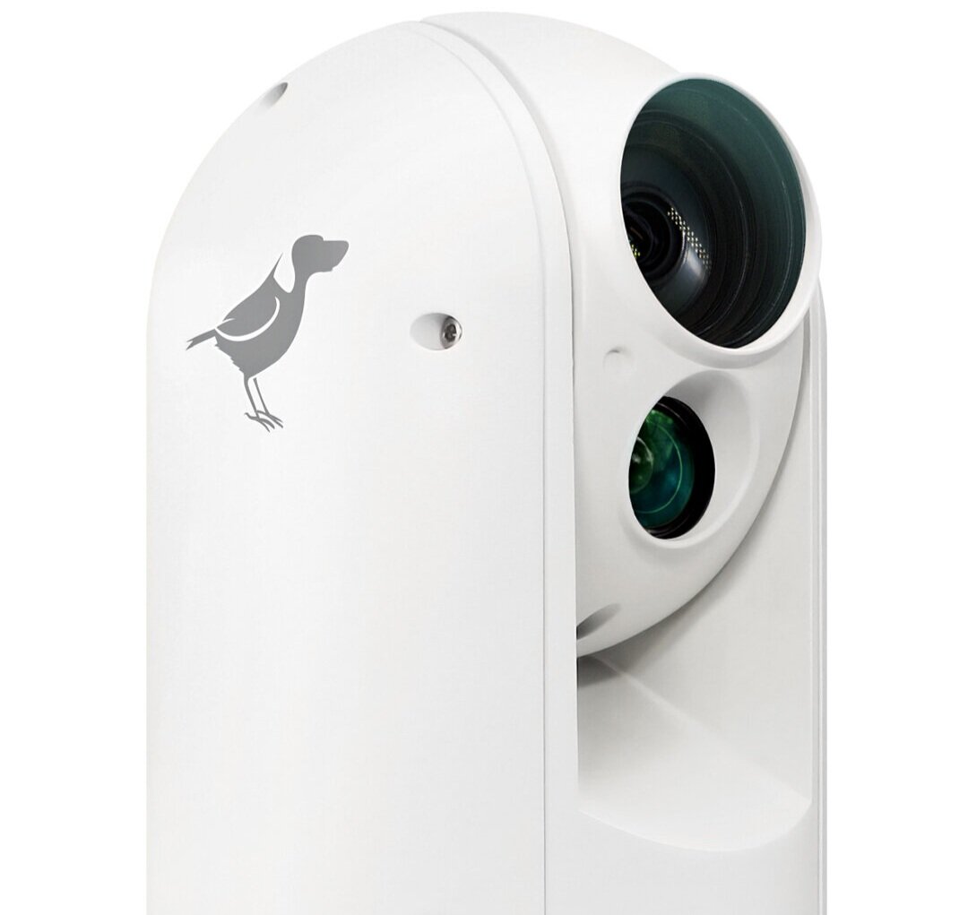 Birddog NDI PTZ weatherproof camera