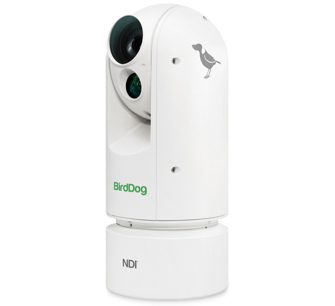 Birddog NDI PTZ weatherproof camera