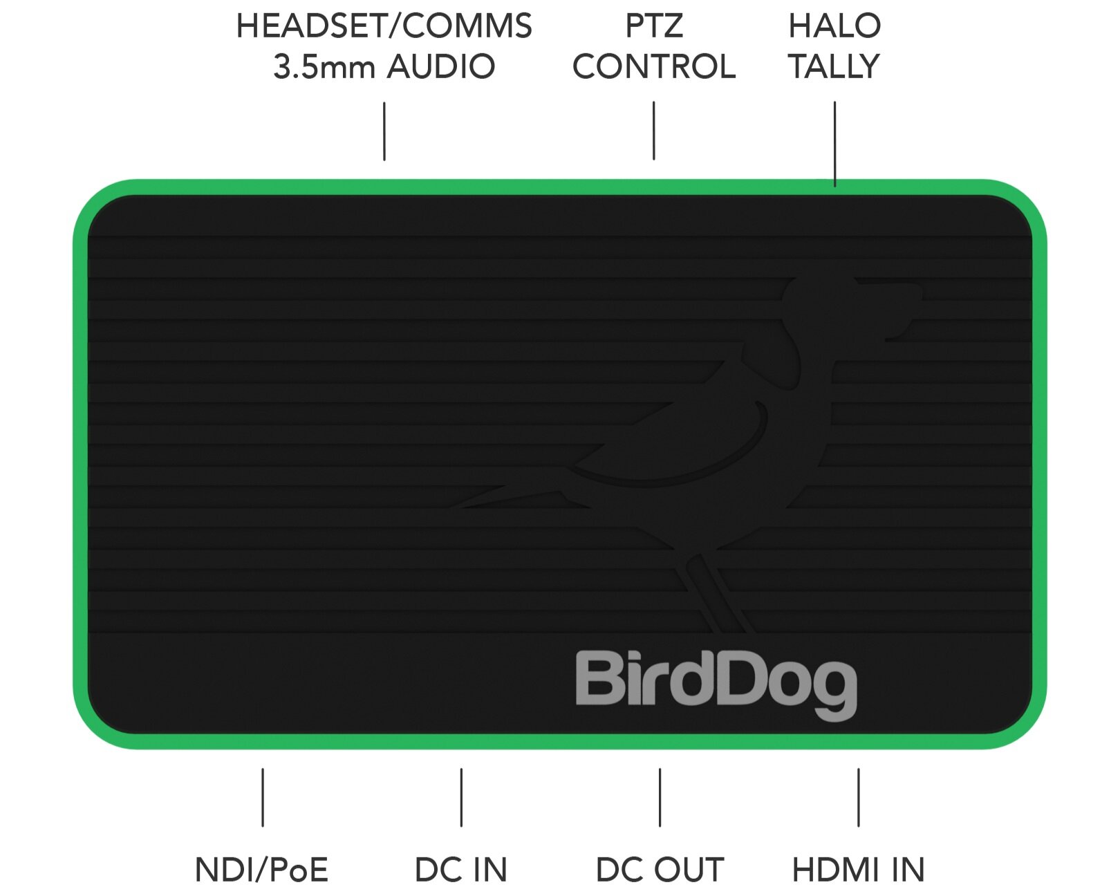 Birddog Mini NDI Encoder &amp; Decoder