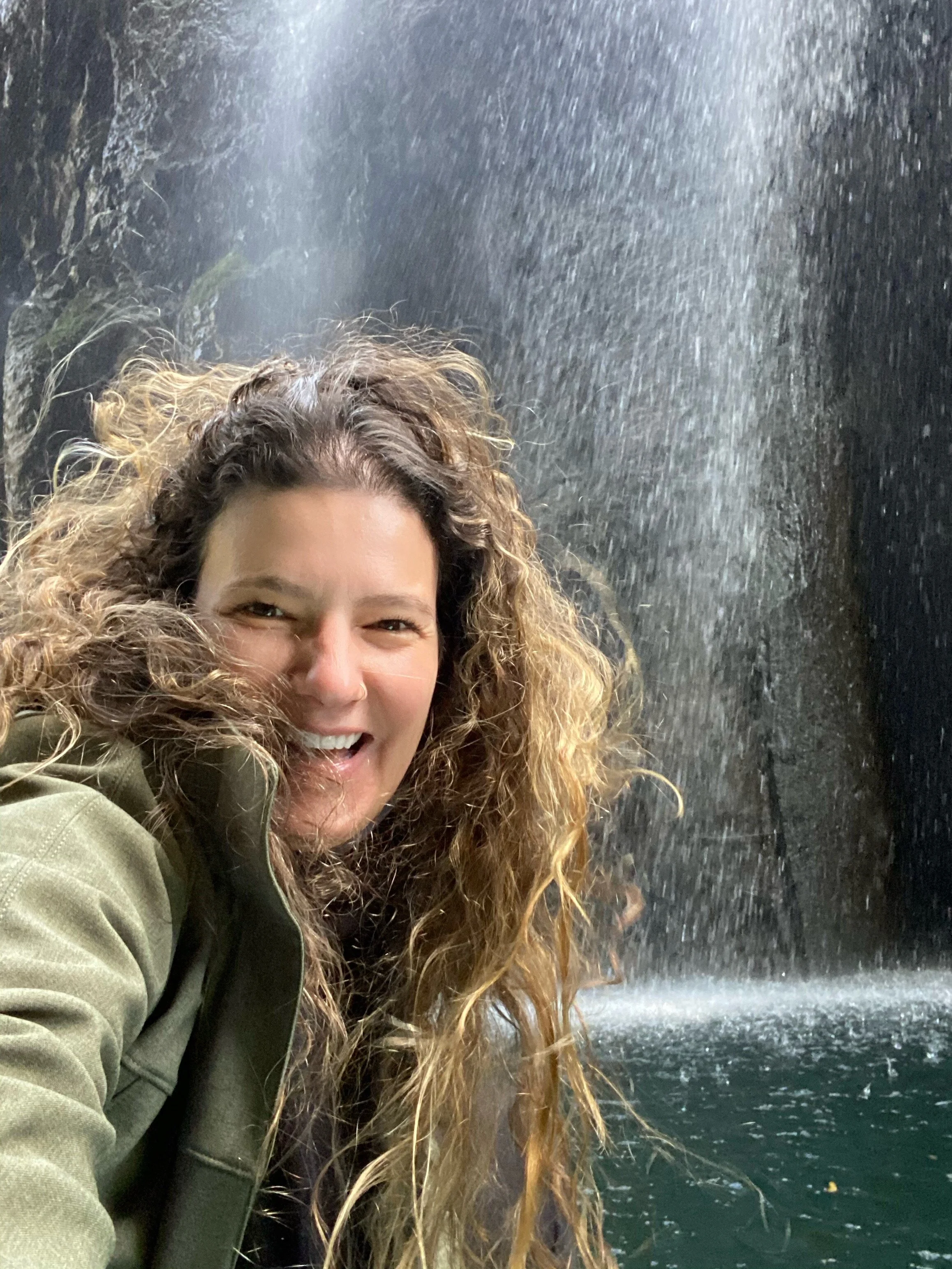 Professional Experience Experiencer