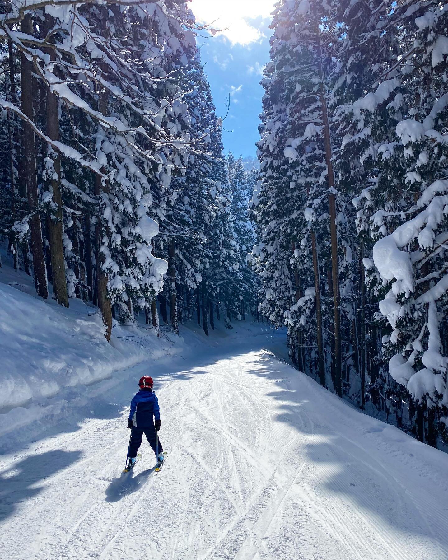 Long day.  Time to head home.  #ForestTrail