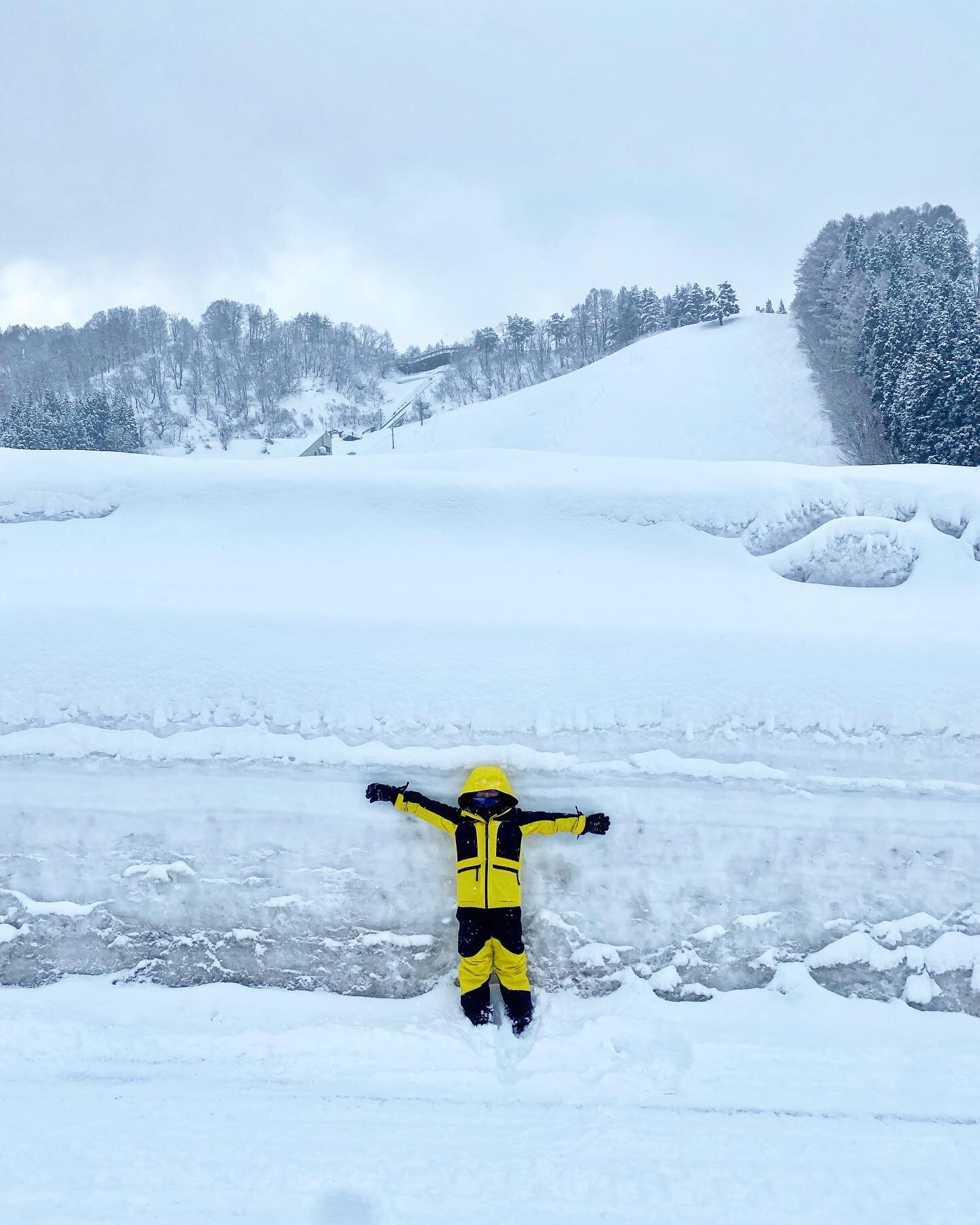 So fun to be in a place for so long you can really see the snow stack up before your eyes.  #NozawaOnsen ❄️