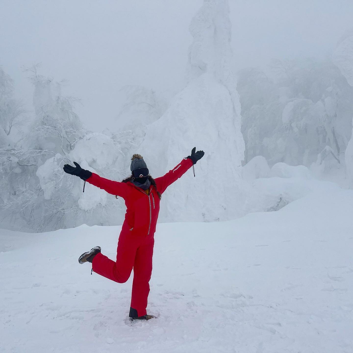 It was wild.  And a little touch and go at times.  But made it to see the Zao Snow Monsters.