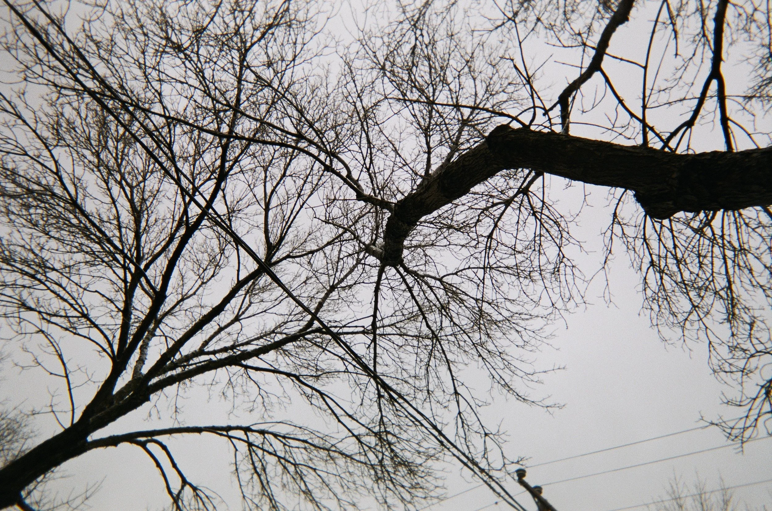 05030011.jpg