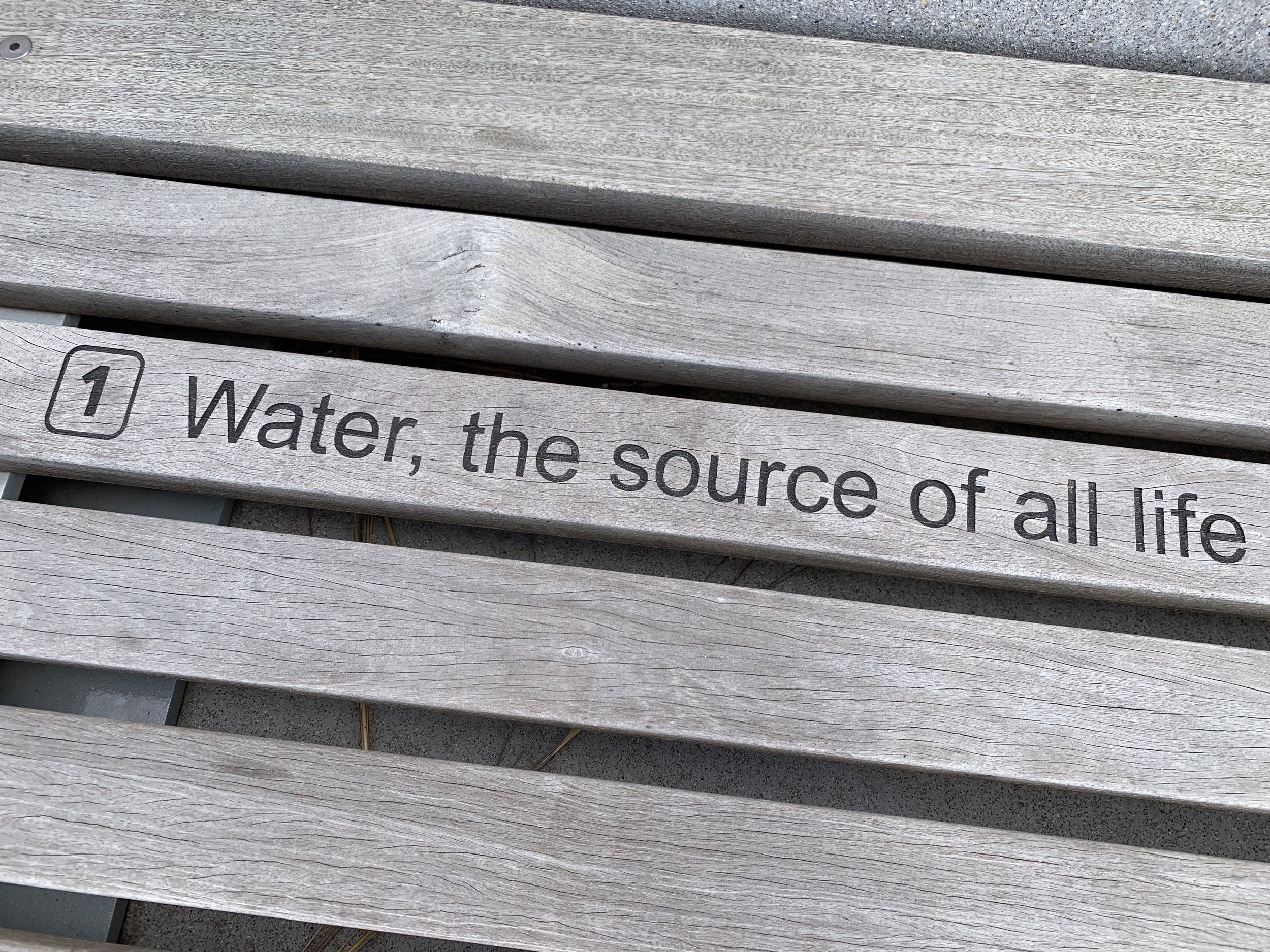 water the source of all life.jpg