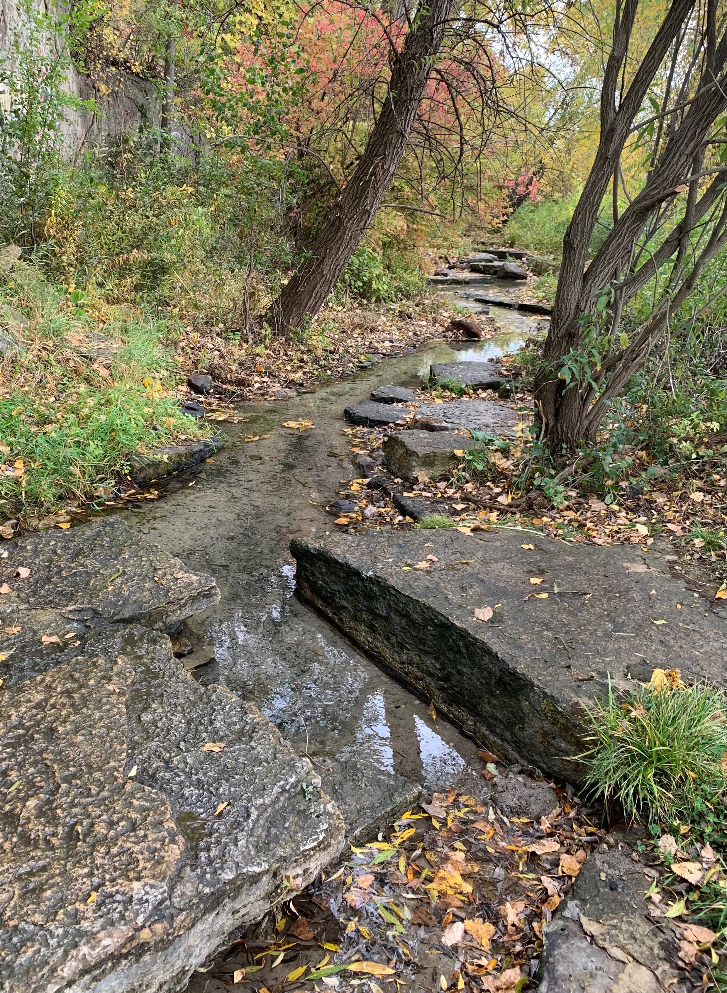 Creek with rocks and stream bed with trees copy.jpeg