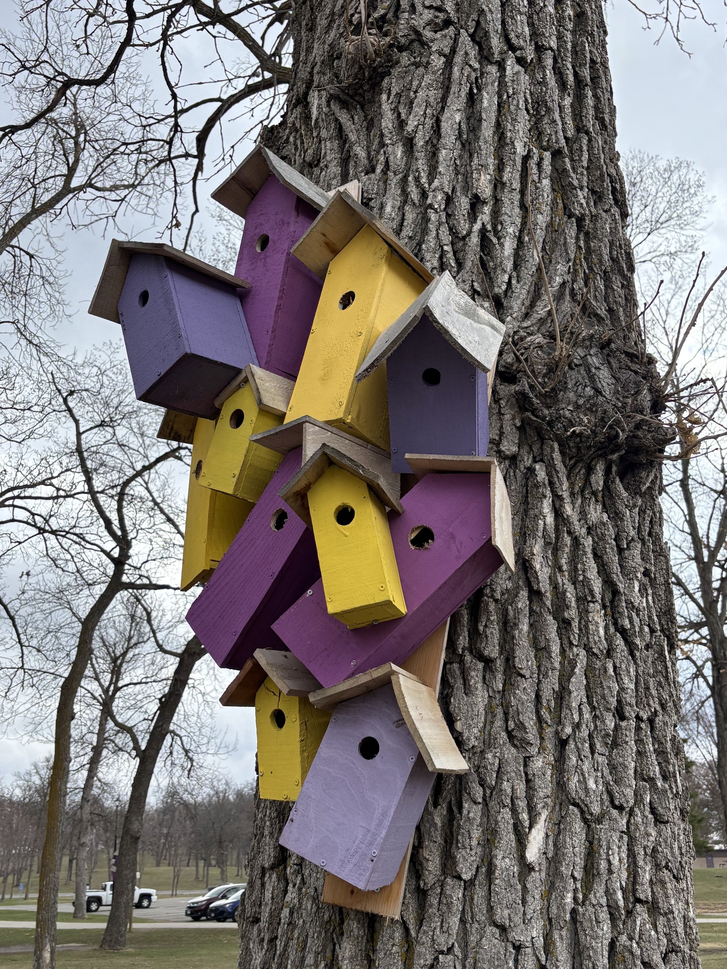 Dambo Birdhouses 2.jpeg