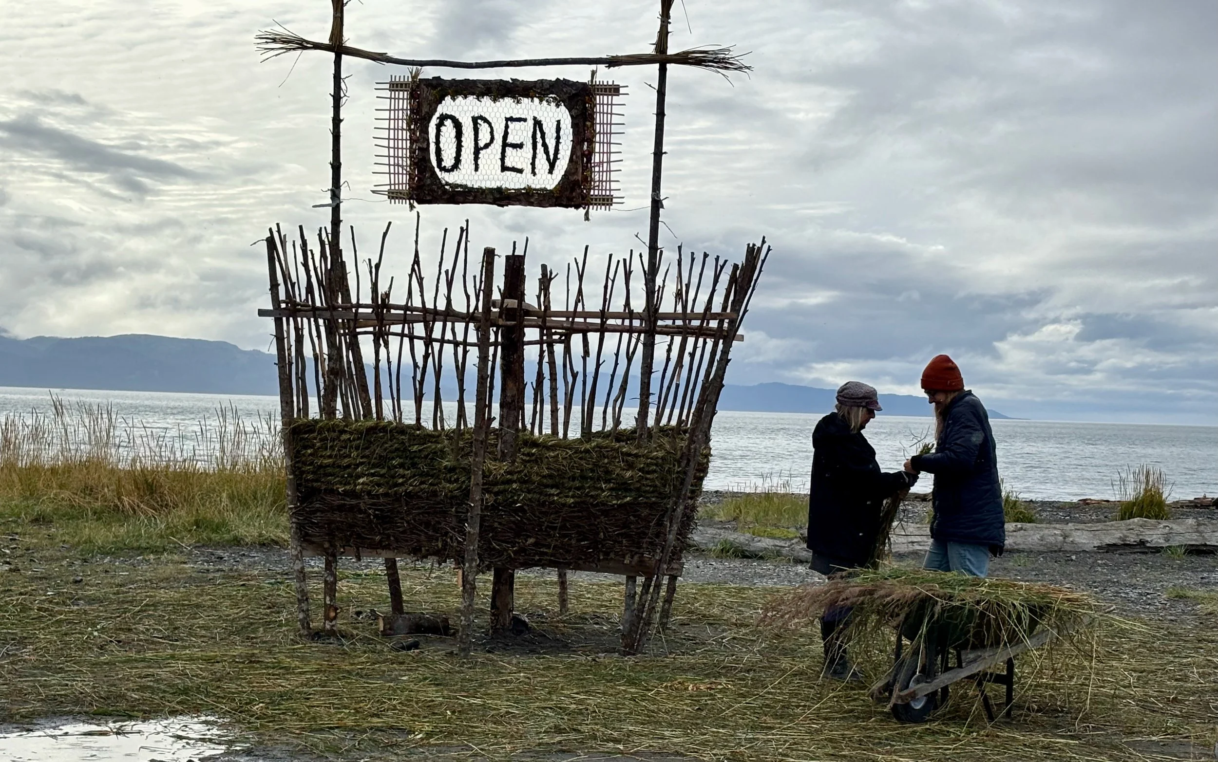 backlit basket mavis in profile.jpeg