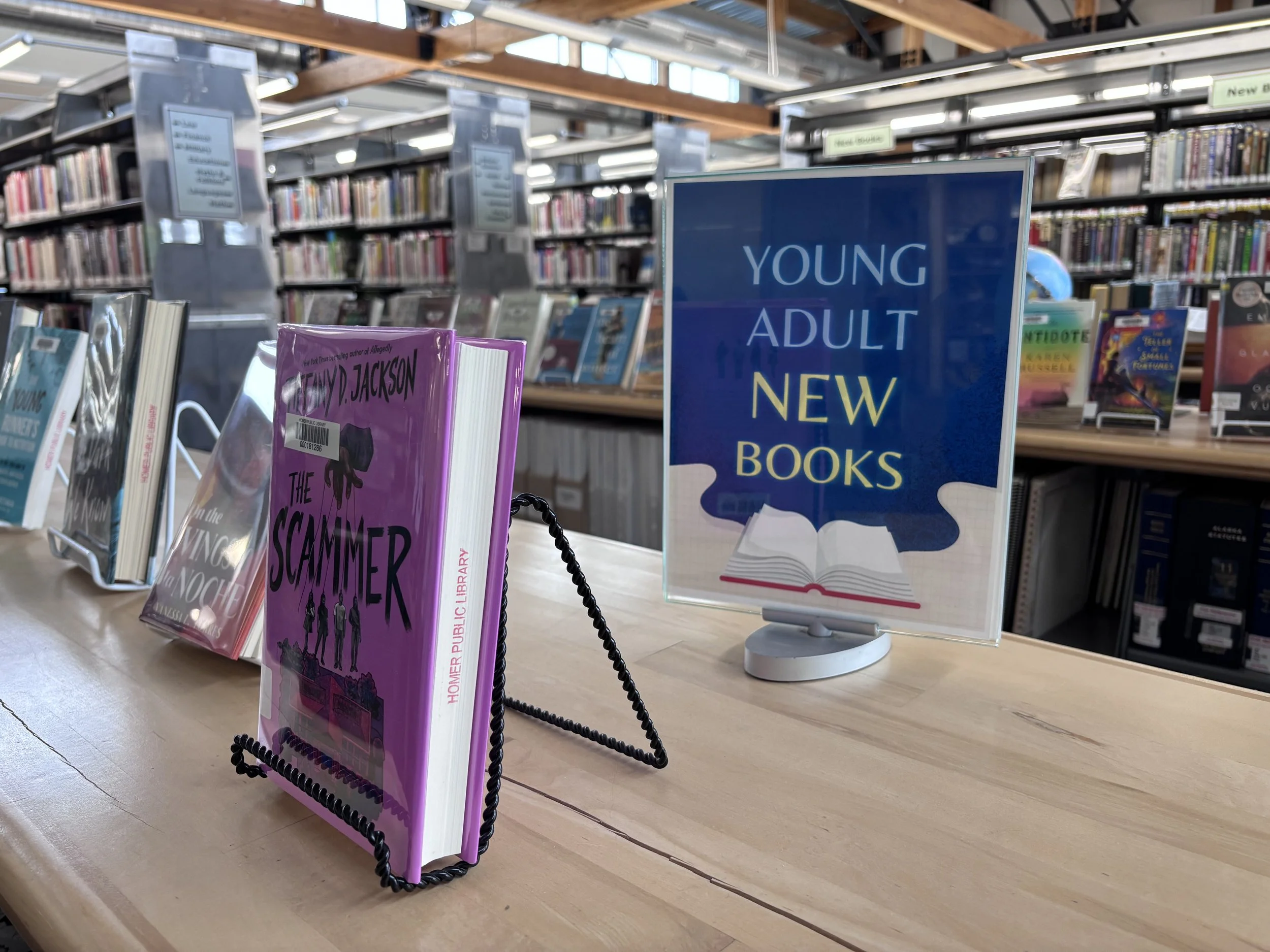 Young Adult Books Display 3.jpeg