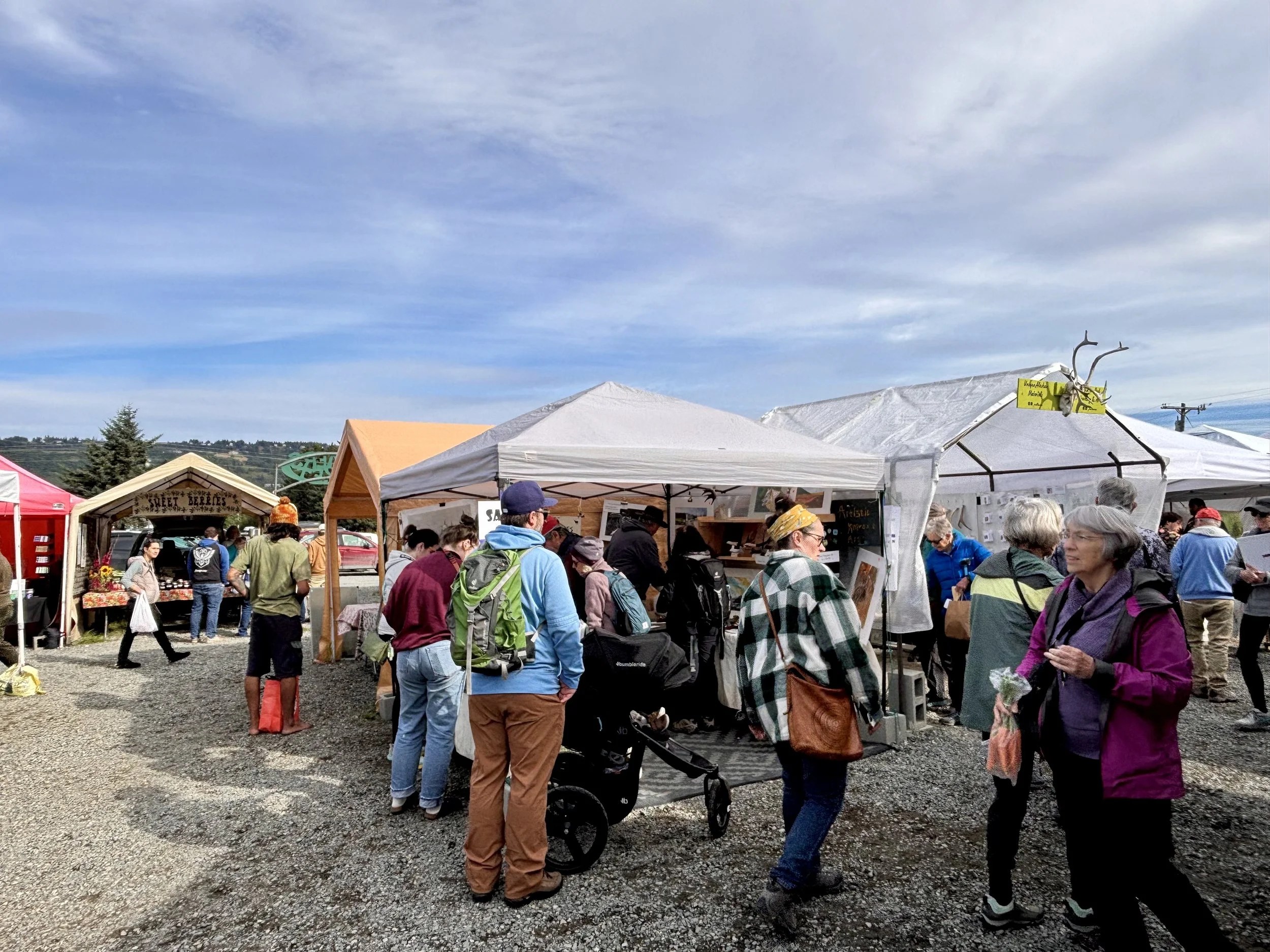Homer Farmer's Market with tents and people.jpeg