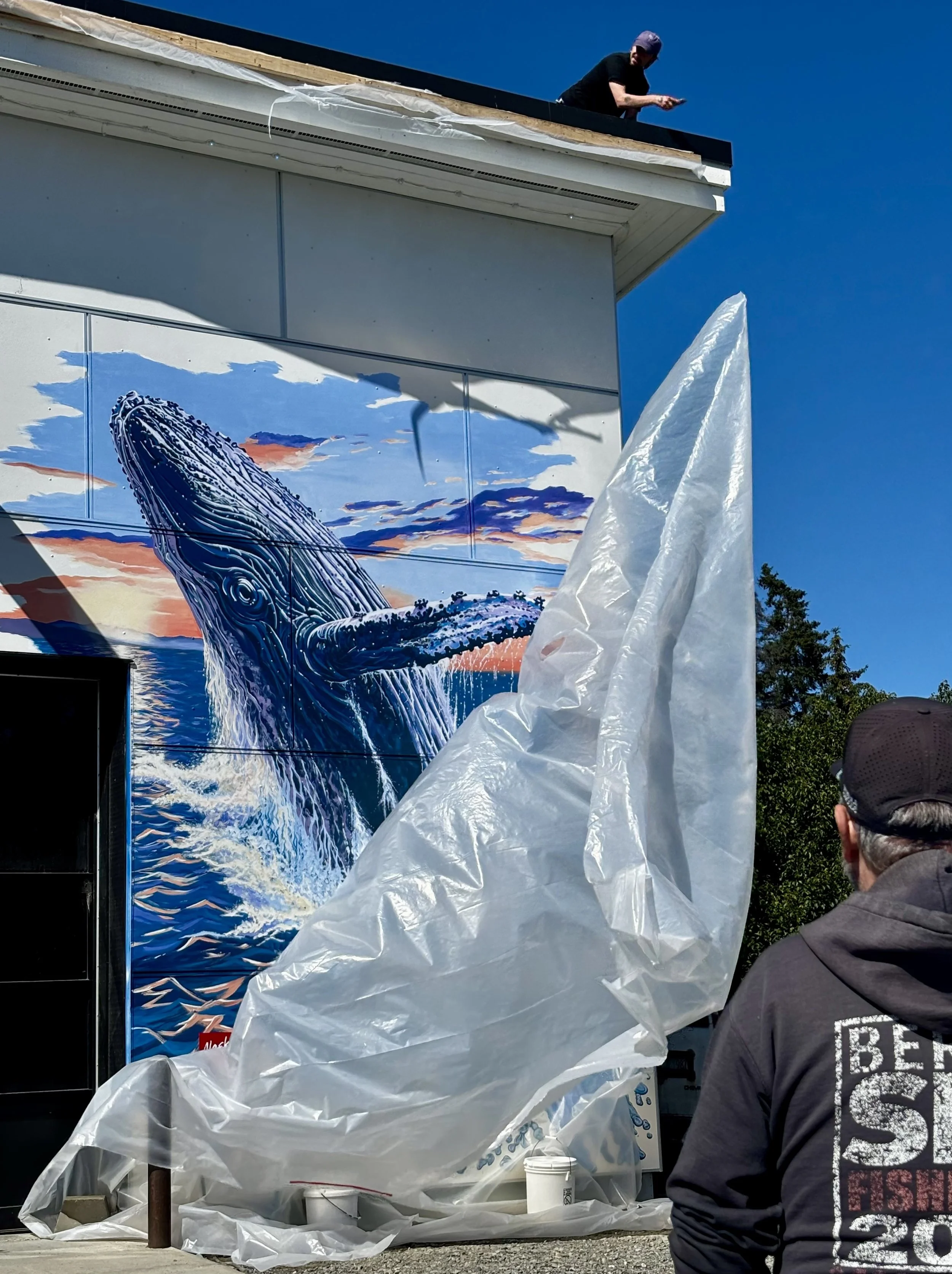 Mural Reveal with plastic sheeting from roof.jpg