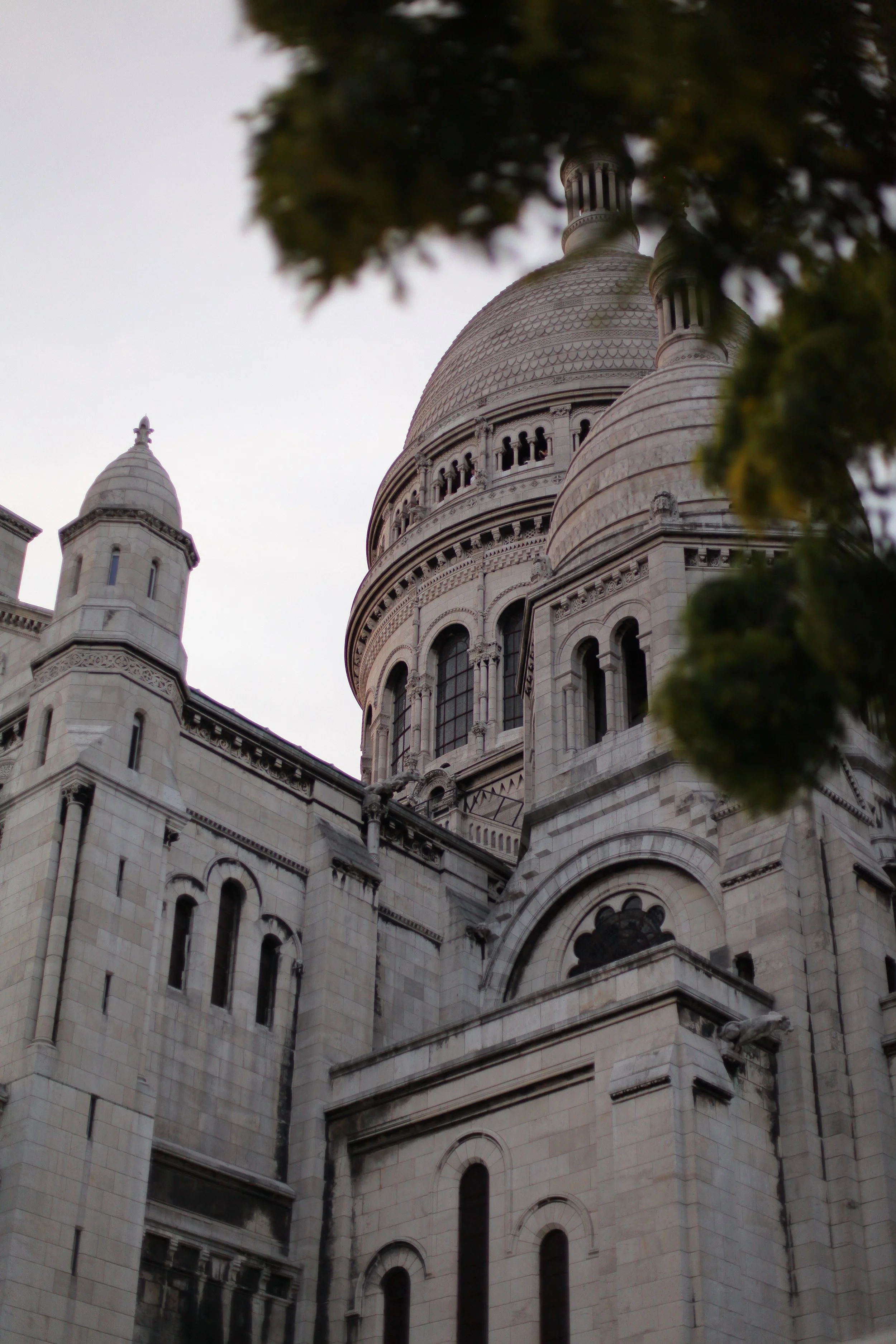 IMG_0420.JPG
