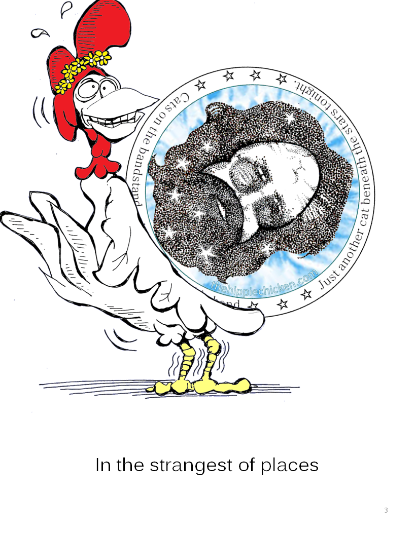 Cats on the Bandstand — The Hippie Chicken