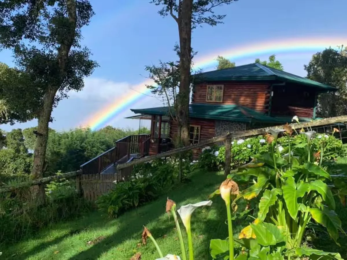 7cbec5c7-0359-4cb8-9e61-0384ea924dc5 (1).jpg